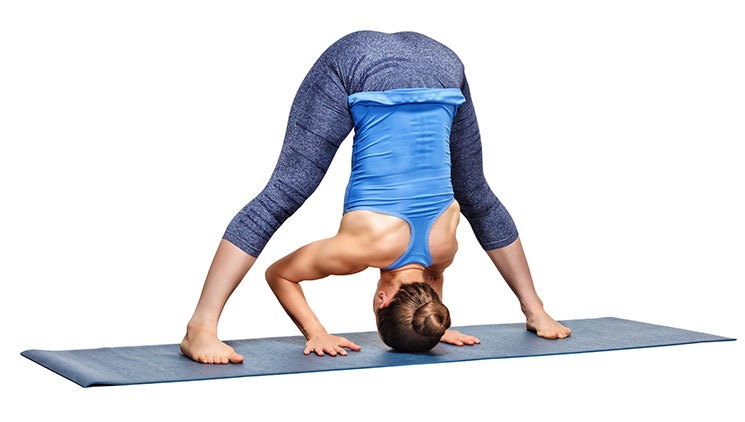 Prasarita Padottanasana