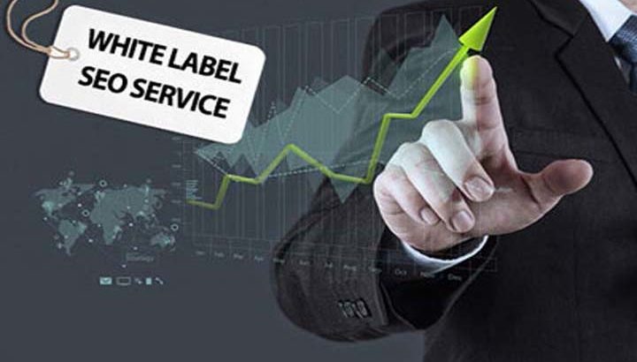 seo white label services