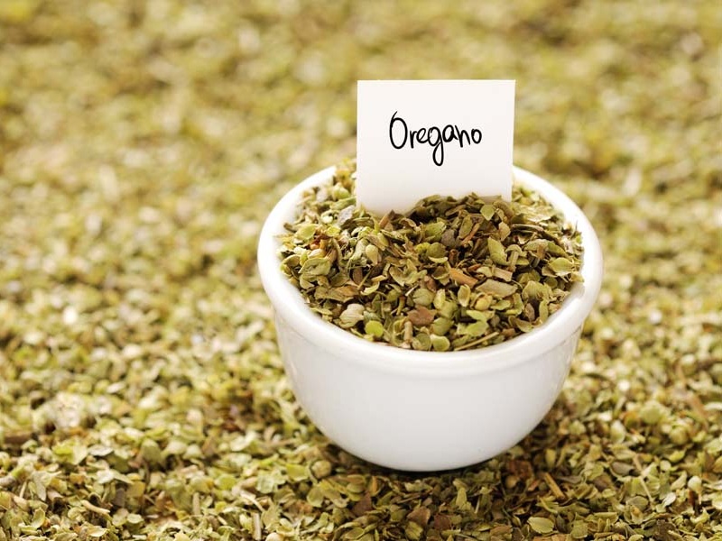 oregano